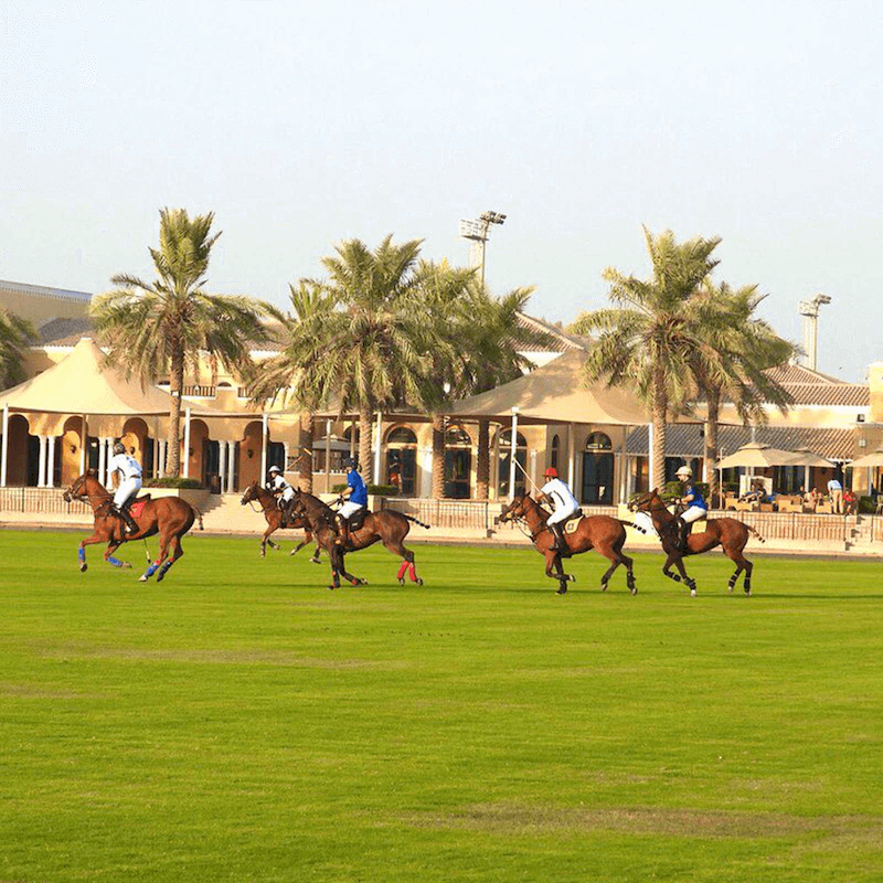 Dubai Polo and Equestrian Club